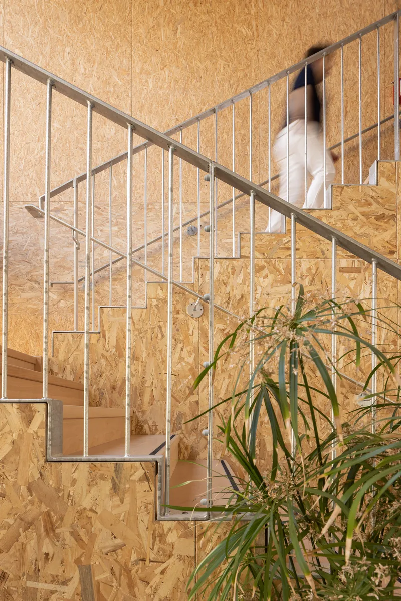Metal rod staircase ascending against oriented strand board wall with a potted plant below