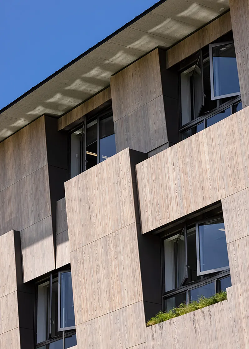 Offset timber panels on facade with small planter at window edge