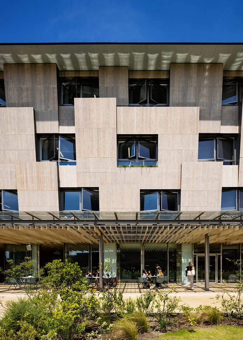 Facade composed of offset timber panels with punched windows above a timber pergola and planted beds