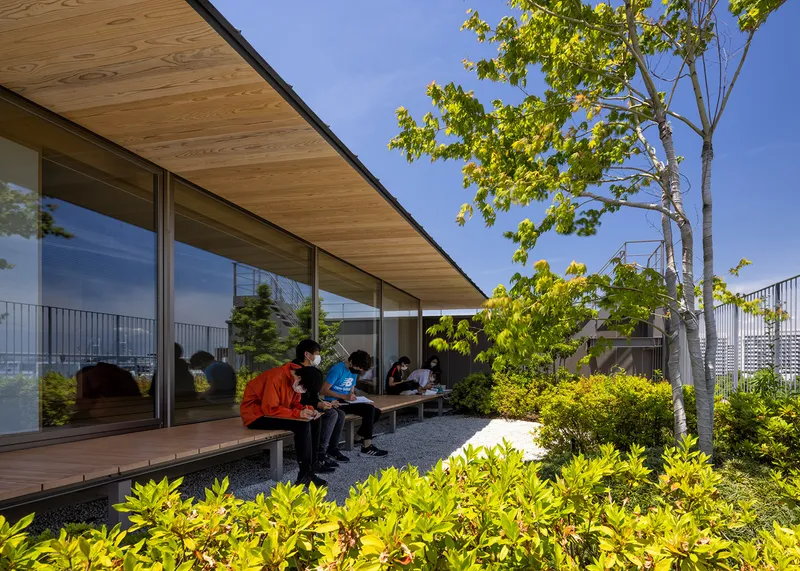 Rooftop terrace with five people sitting on a wooden bench beneath a deciduous tree