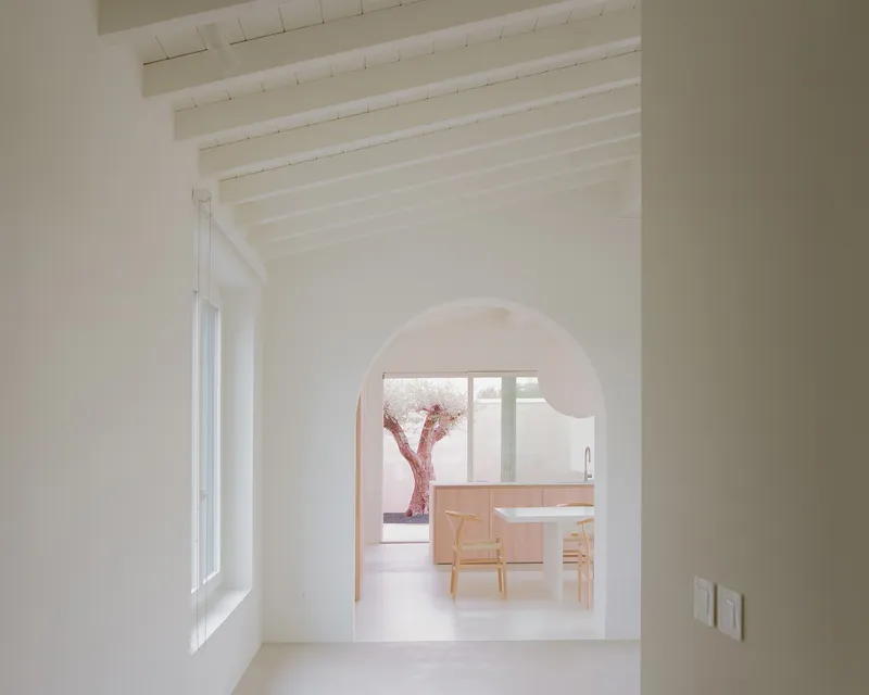 View through an arched doorway to a kitchen with timber cabinetry and a courtyard tree beyond