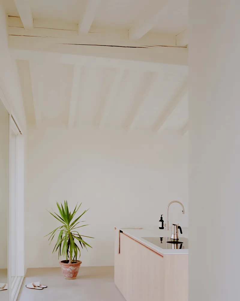 Kitchen island with pale timber countertop beside a potted plant under a sloped plank ceiling