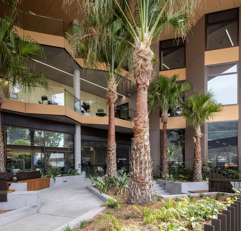 Ground-level courtyard with tall palms rising through the central atrium beneath timber-clad balconies