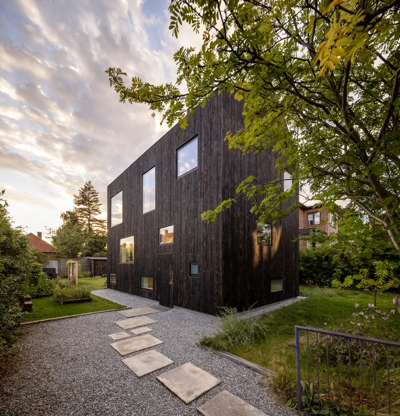 Vertical timber-clad facade with irregularly placed windows framed by overhanging tree branches at dusk