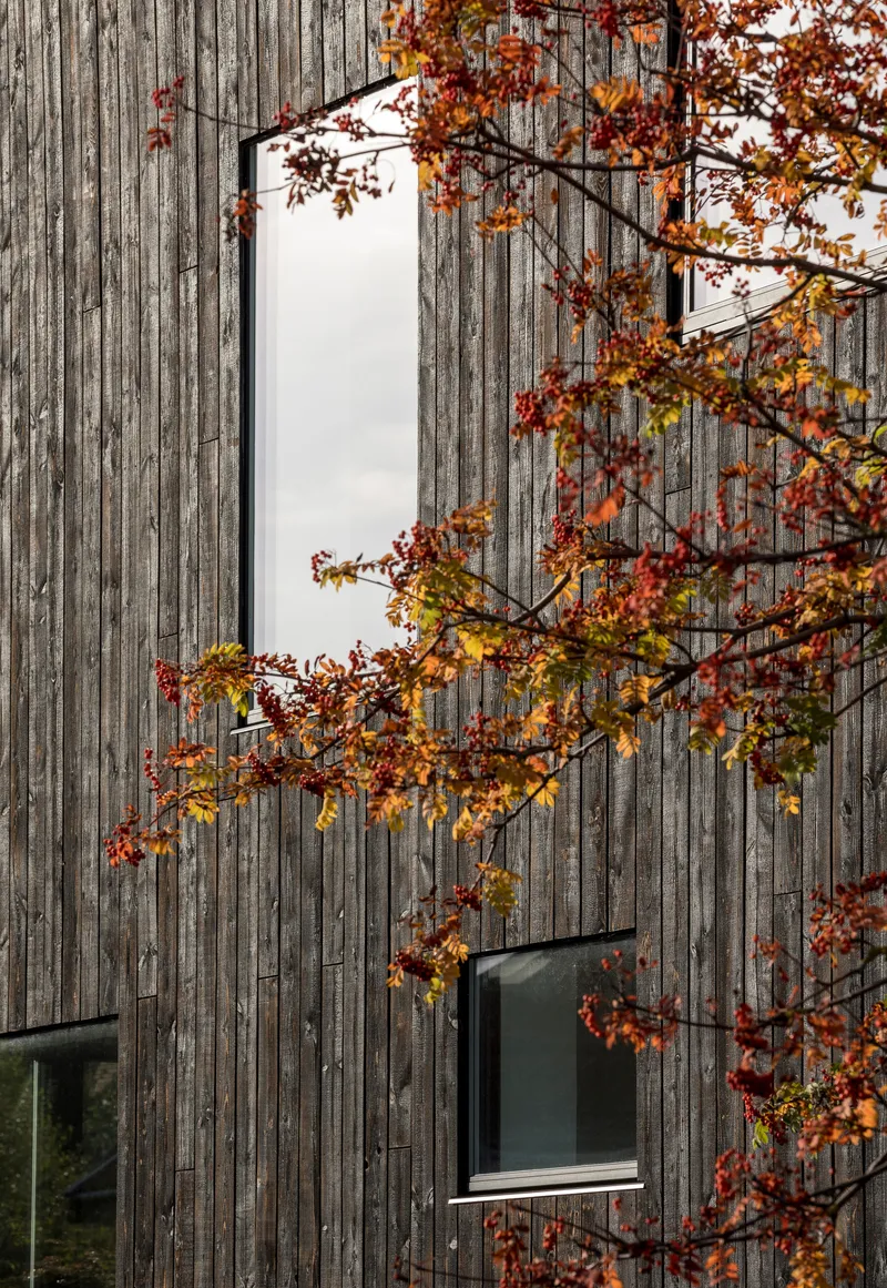 Charred vertical timber cladding with tall narrow window opening behind autumn tree branches