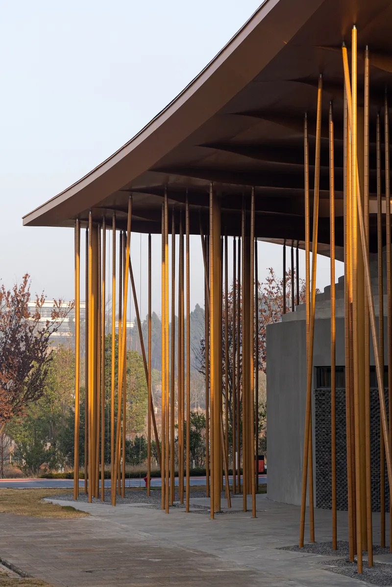 Covered walkway with slender golden columns supporting a sloping timber soffit in afternoon light