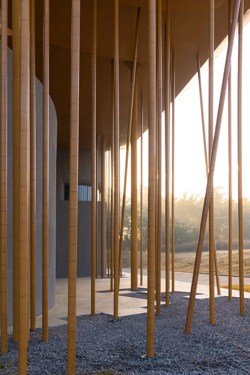 Close-up of vertical timber columns filtering golden afternoon sunlight onto the gravel courtyard floor