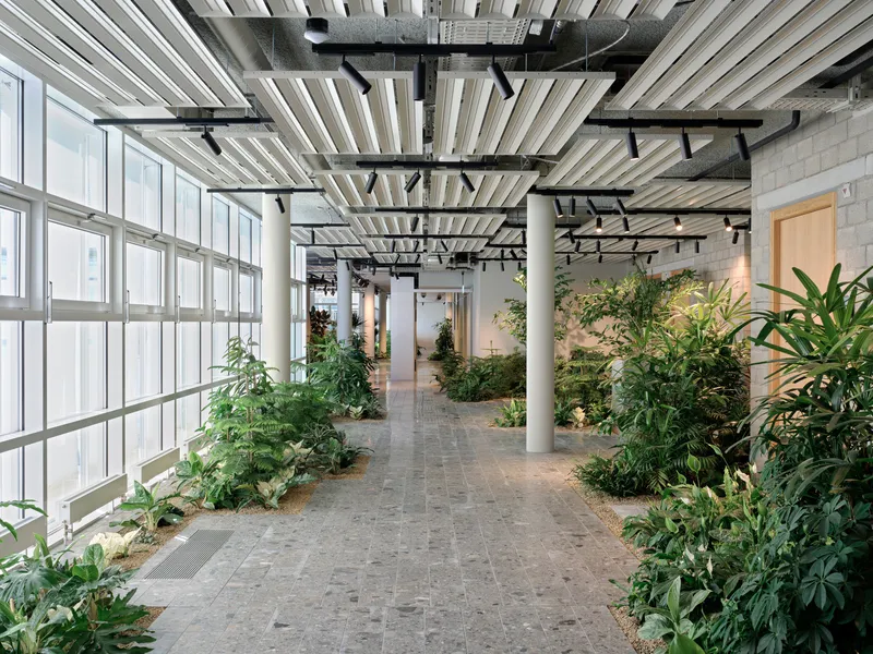 Interior corridor with white columns, diagonal timber ceiling slats, and planted beds along the glazed facade