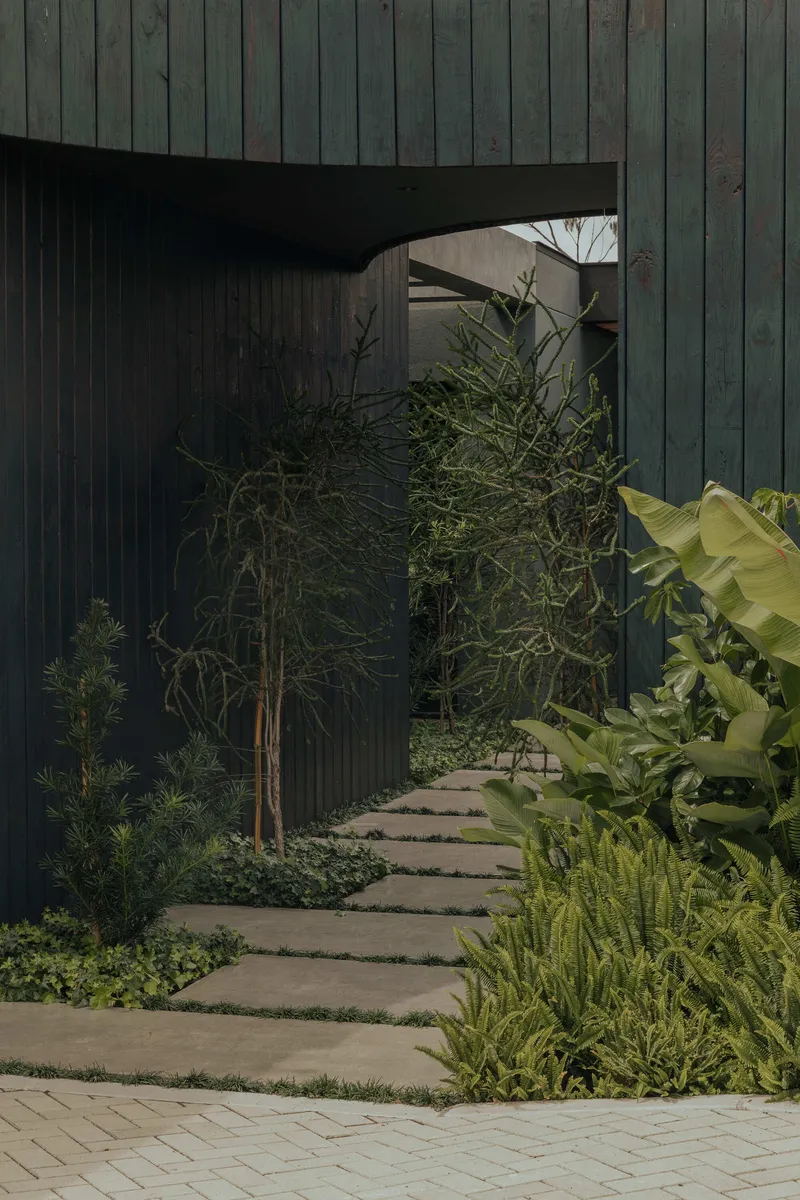 Stepping stone pathway winding through planted garden bed with bamboo and banana palms toward timber facade