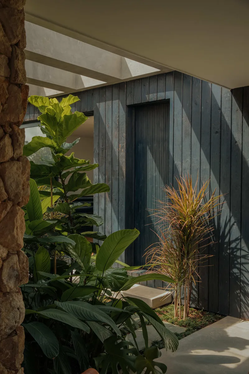 Curved timber wall with vertical cladding and recessed door in courtyard planted with banana palms