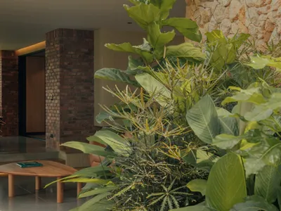 Bon Studio Wraps a Colombian Hillside Home in Timber, Stone, and Tropical Courtyards