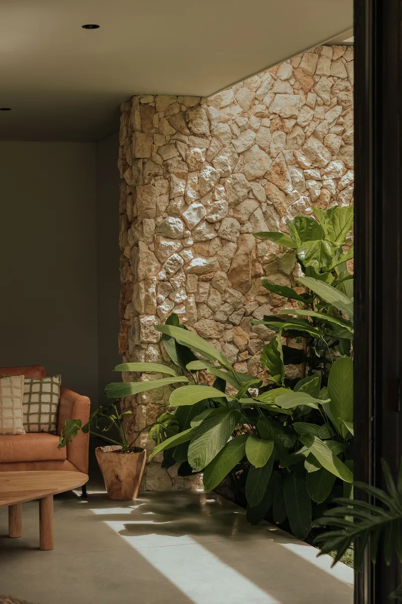 Interior corner with limestone wall, potted plants and dappled sunlight across concrete floor