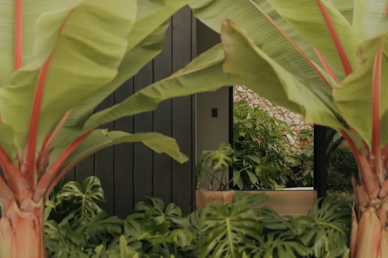 Dark vertical cladding framed by banana leaves and tropical planting in the foreground