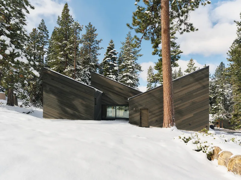 Entry view showing converging wood sided walls with glass doors and a tall pine trunk