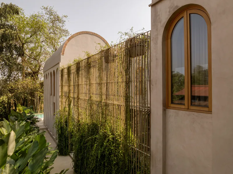 Exterior bamboo screen wall with climbing vines adjacent to an arched timber window frame