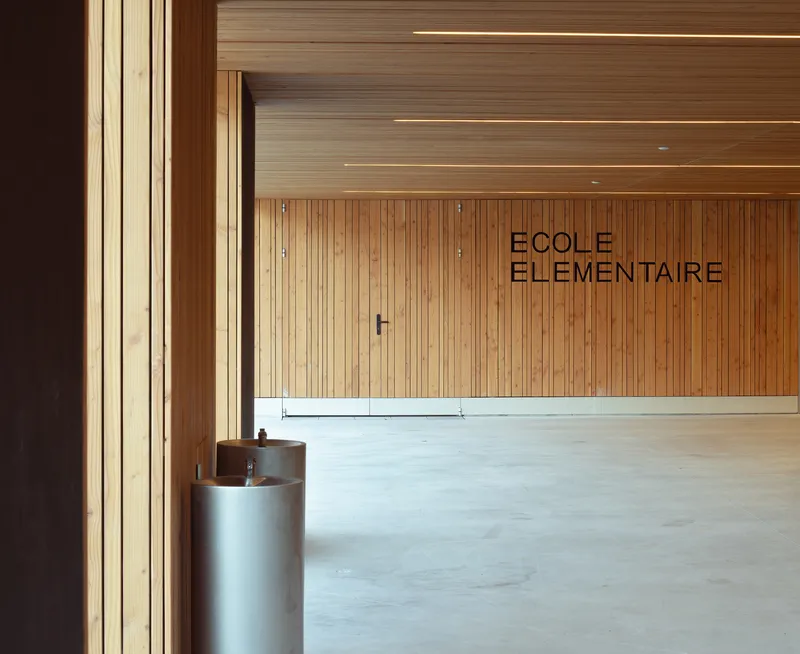 Timber-lined entrance hall with cylindrical water fountain beside vertical slat cladding