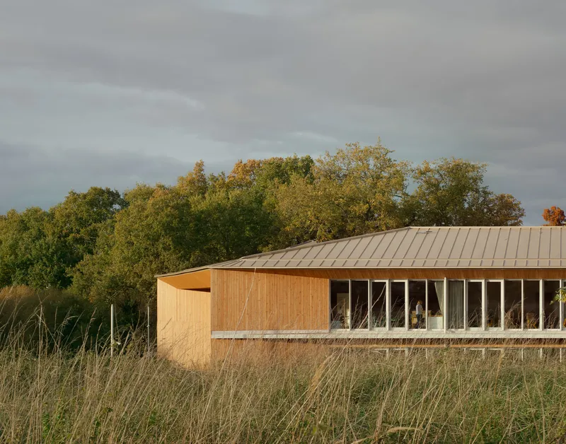 Long timber facade with ribbon windows emerging from tall grasses in late afternoon light