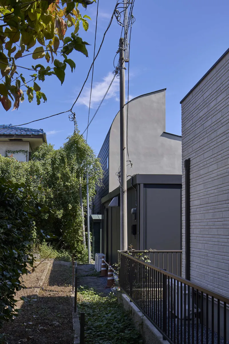 Narrow side yard with planted vegetation between rendered wall and neighboring timber-clad house