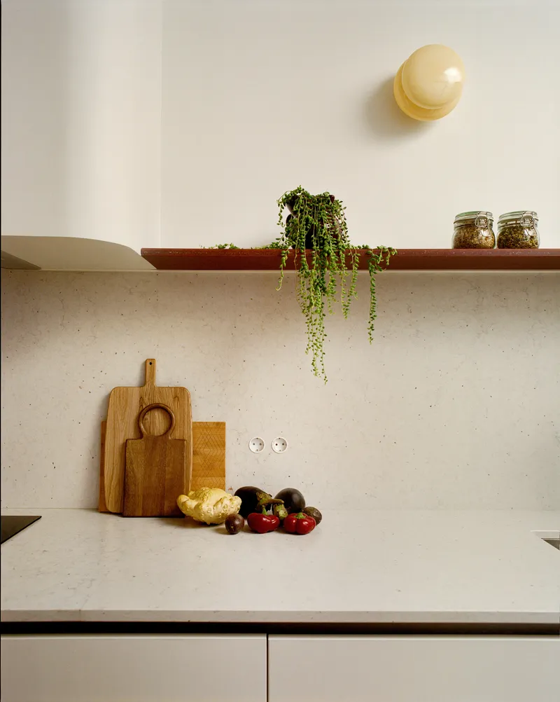 Kitchen counter with terrazzo backsplash, terracotta shelf and trailing plant