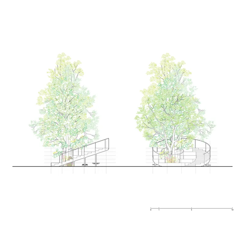 Elevation drawing depicting two curved pavilions with stairs surrounding large trees
