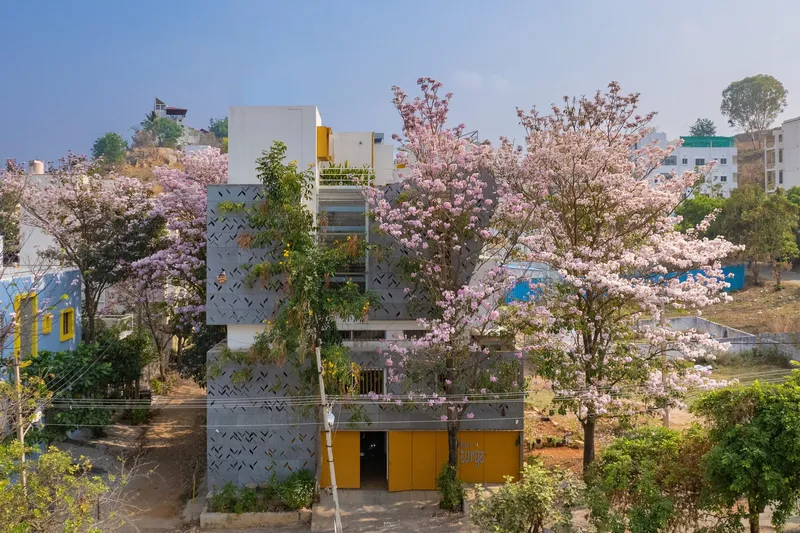 Front facade with patterned concrete screens and yellow openings surrounded by flowering pink trees