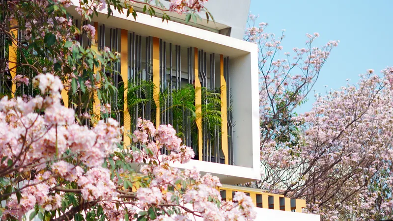 Upper floor terrace with vertical yellow louvers and cable railings seen through pink blossoms