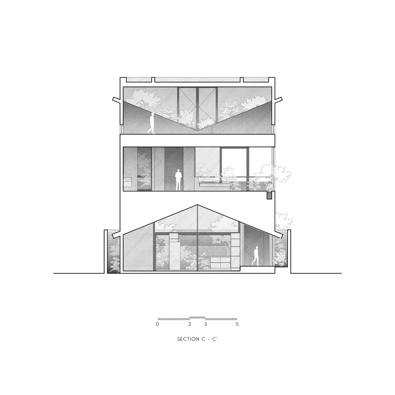 Section drawing revealing tiered interior spaces with planted roof terraces and glazed openings