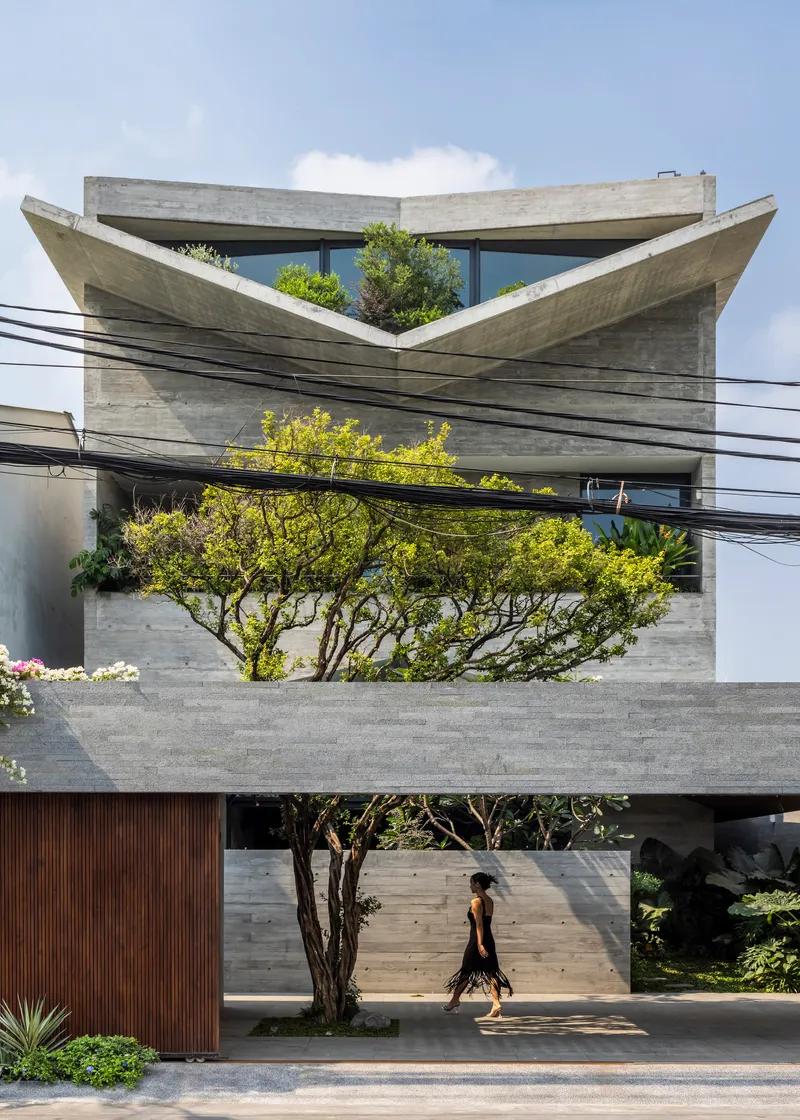 Street facade with layered concrete planes and rooftop planted terraces framed by a foreground tree