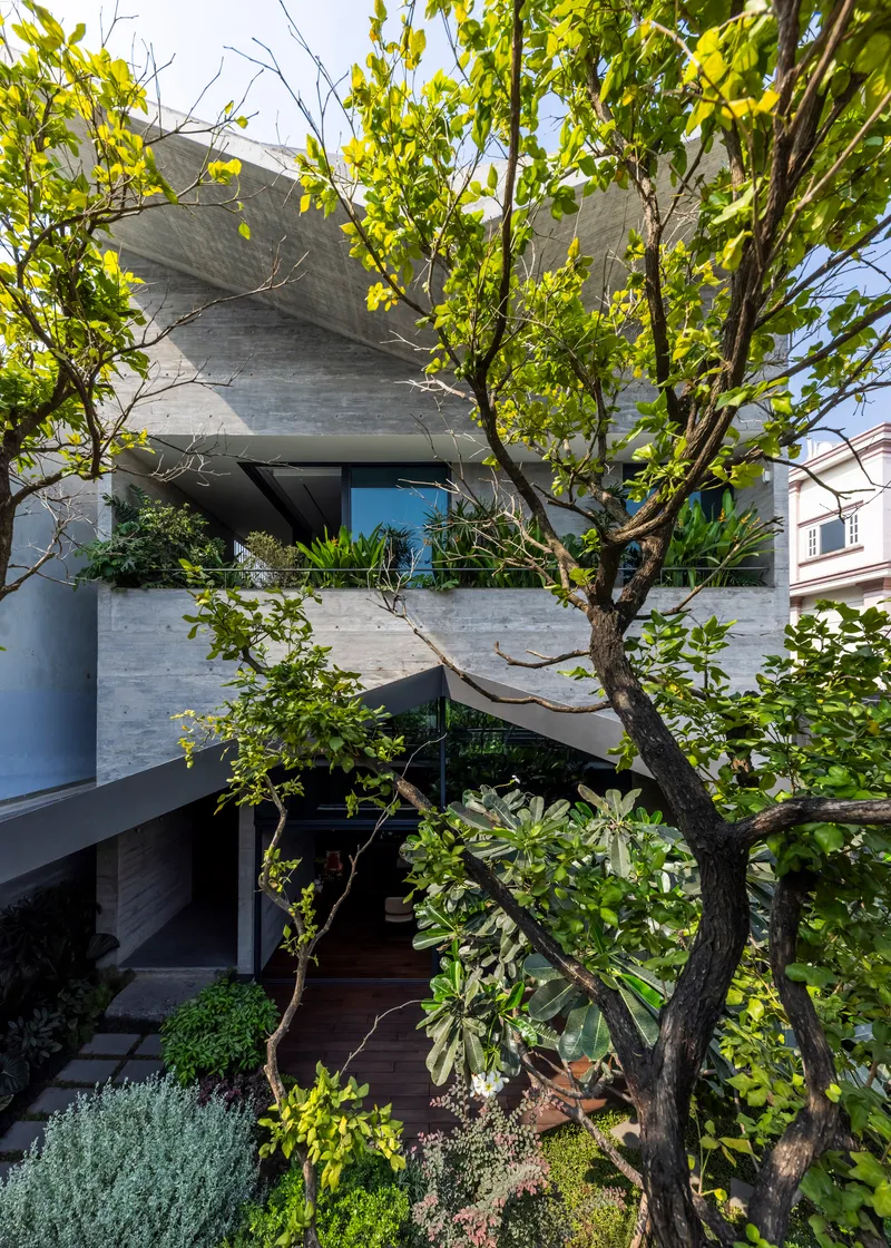 Folded concrete facade seen through branches of a mature tree in the courtyard