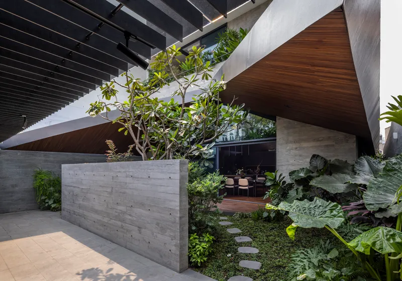 Concrete planter wall with young tree beneath the angular timber ceiling plane and staircase beyond