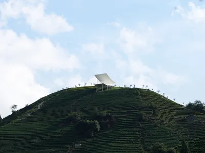 Studio RE + N Perch a Steel Pavilion Above 500 Meters of Tea Terraces in Zhejiang
