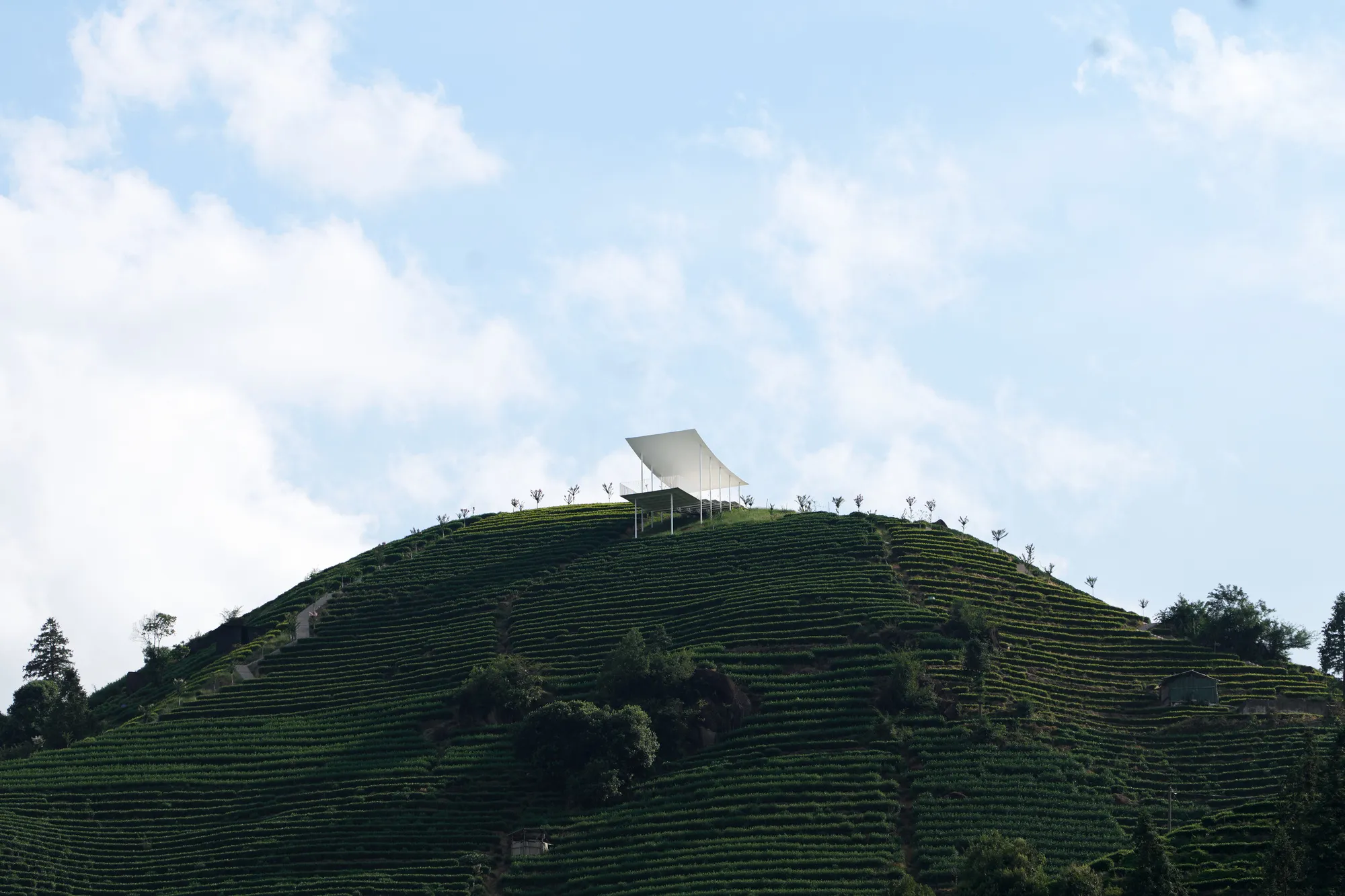 Studio RE + N Perch a Steel Pavilion Above 500 Meters of Tea Terraces in Zhejiang