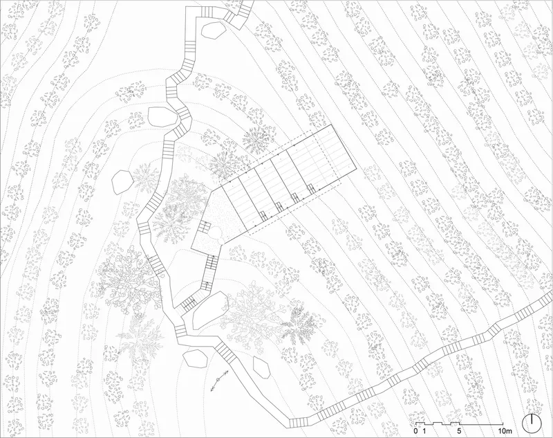 Top-down site plan with the pavilion positioned among rows of planted vegetation and terraced slopes