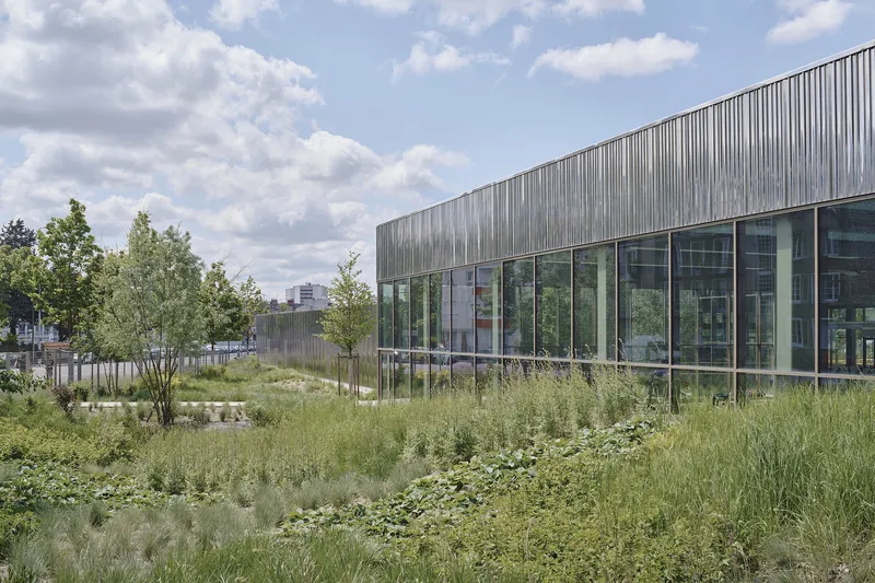 Timber-clad facade with continuous glazing overlooking a meadow of wild grasses under a cloudy sky