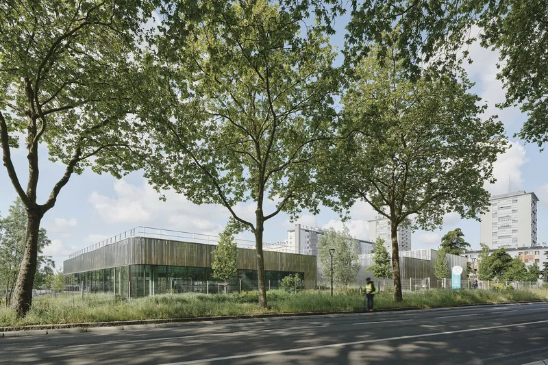 Street view of the low-slung timber and glass building screened by mature plane trees