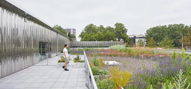 Planted roof terrace with perennials and grasses edging the walkway beside the timber facade