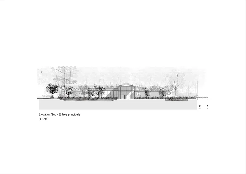 South elevation drawing showing the low horizontal profile behind a row of trimmed trees and ornamental plantings
