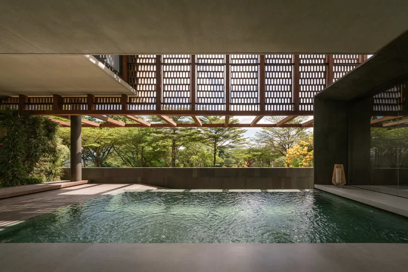 Swimming pool beneath a timber lattice canopy with trees visible beyond the concrete parapet