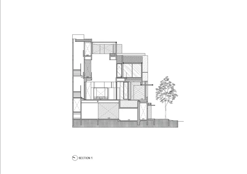 Section drawing revealing stacked floor levels with double-height void and adjacent tree