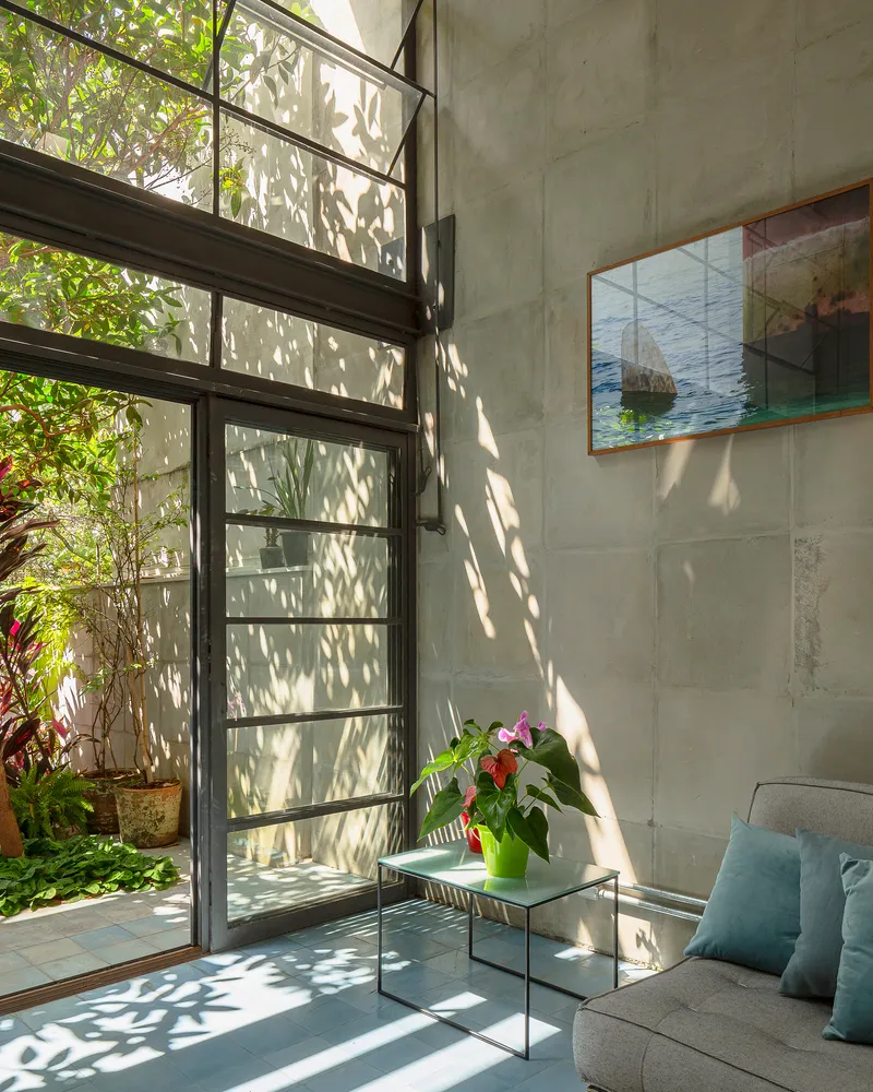 Dappled sunlight filtering through foliage onto the concrete block wall beside the steel-framed glazing and courtyard door