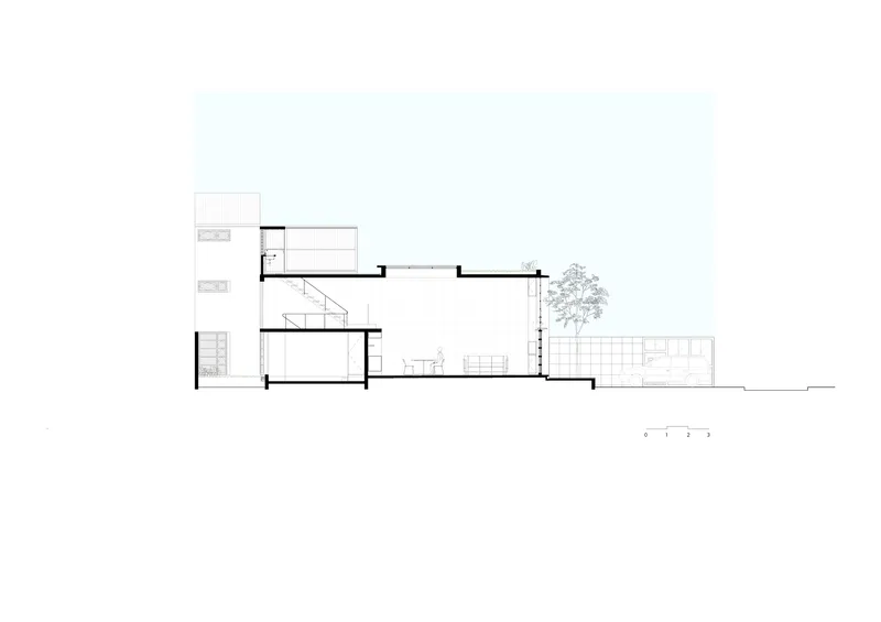 Longitudinal section drawing revealing stacked interior volumes with tree and terrace at rear