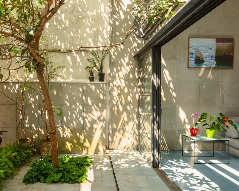 Courtyard with concrete walls, a tree casting dappled shadows, and potted plants near sliding glass doors