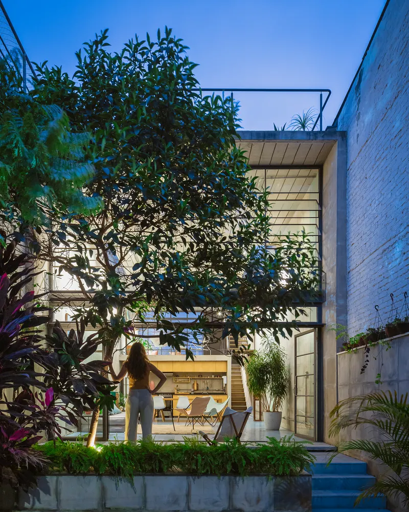 Glass facade with steel frames behind a planted courtyard tree at twilight