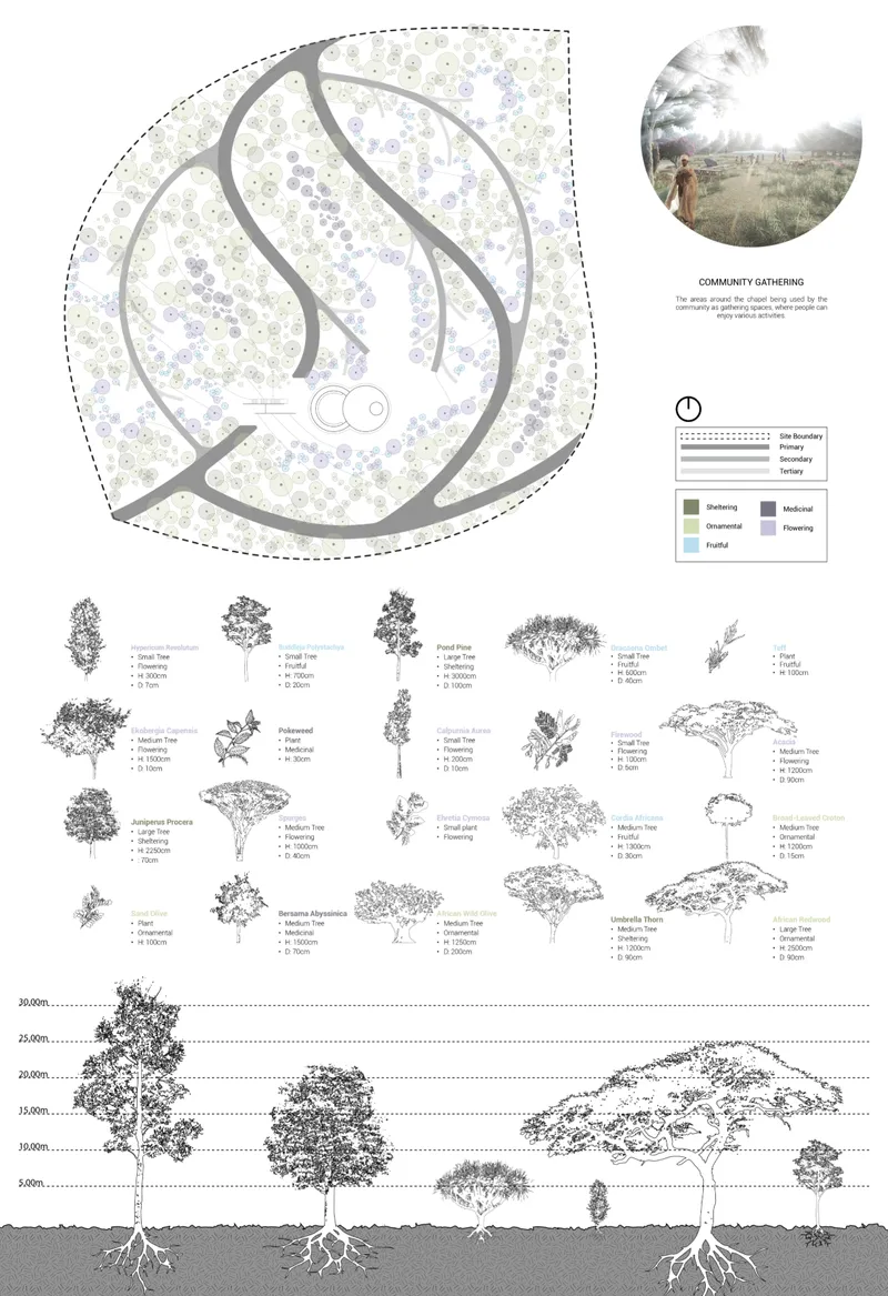 A layered composition of indigenous Ethiopian species restores biodiversity while shaping spatial experience.