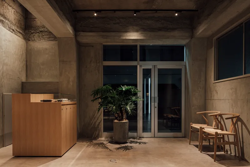 Reception area with timber desk, potted palm, and concrete walls under spotlit exposed ceiling at night