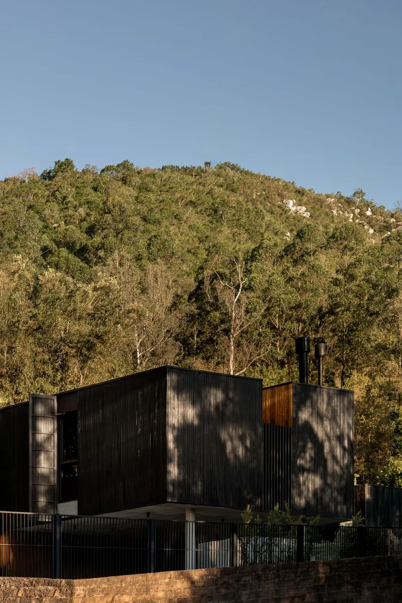 Black vertical timber exterior set against a forested hillside in afternoon light