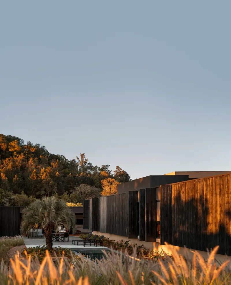View across the planted garden with pool toward the linked timber pavilions at golden hour