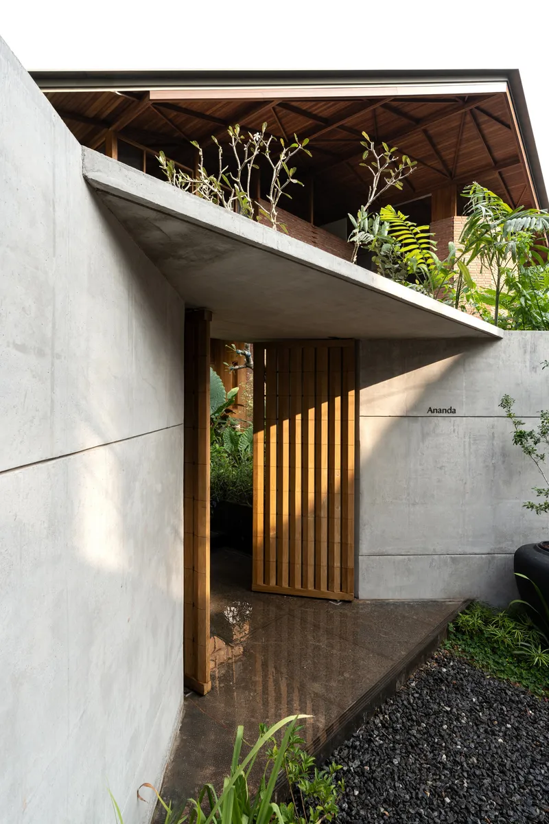 Entry sequence with vertical timber slat door between concrete walls and planted upper terrace with ferns