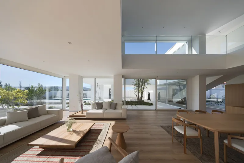 Double-height living space with floor-to-ceiling glazing overlooking an internal courtyard with a single tree