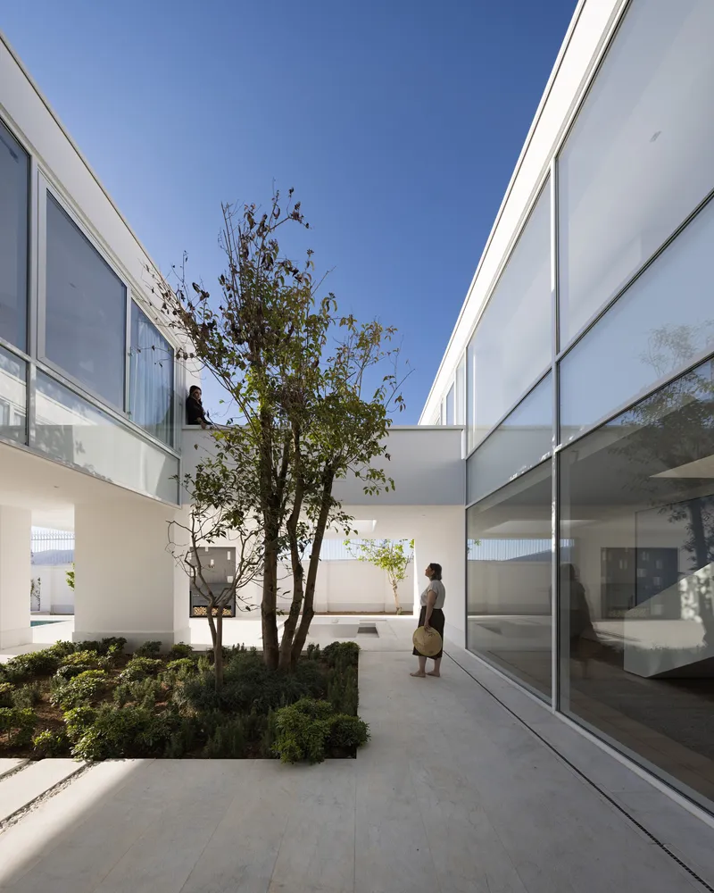 Courtyard passageway between glazed walls with person walking near planted tree under blue sky